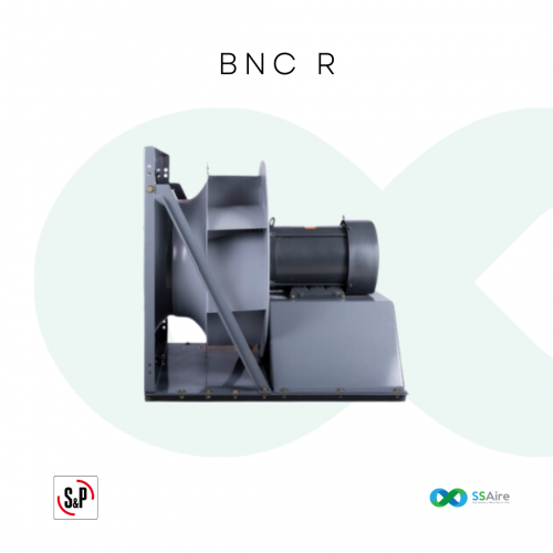 BNC-R D I 315 1 2T 4P